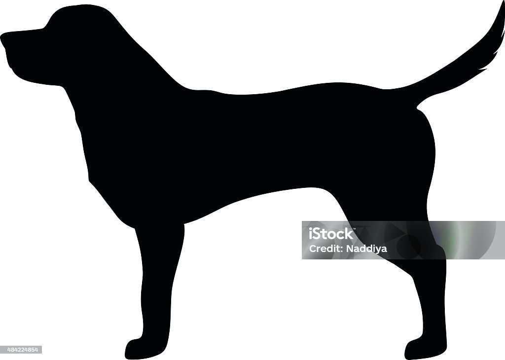 Labrador retriever chien. Vector noir silhouette. - clipart vectoriel de Chien libre de droits