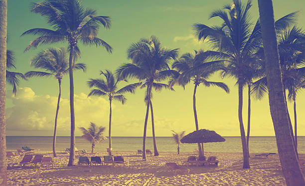 istock Art  beautiful retro seaside view  background 484224912