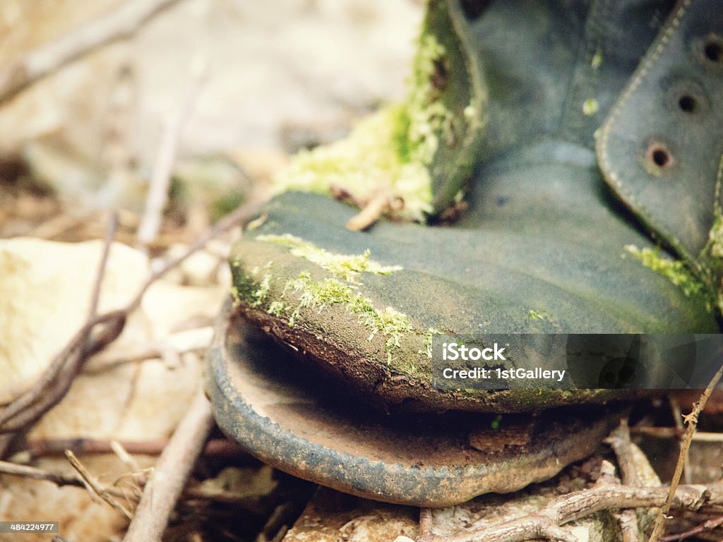 old single boot old single boot in the forest Black Color Stock Photo