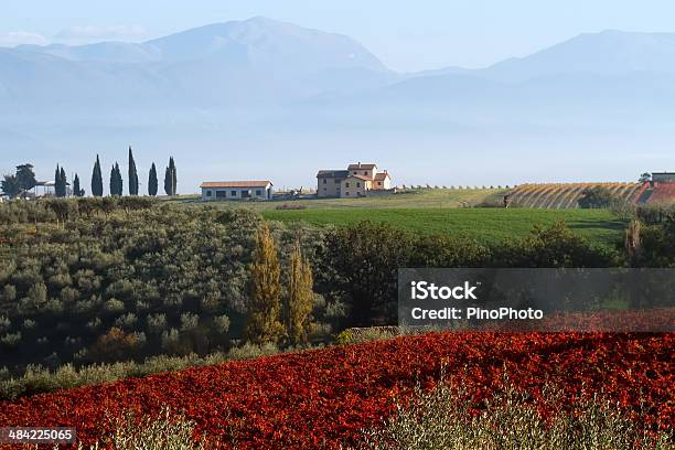 Val Dorcia Toskana Hills Stockfoto und mehr Bilder von Agrarbetrieb - Agrarbetrieb, Anhöhe, Bauernhaus