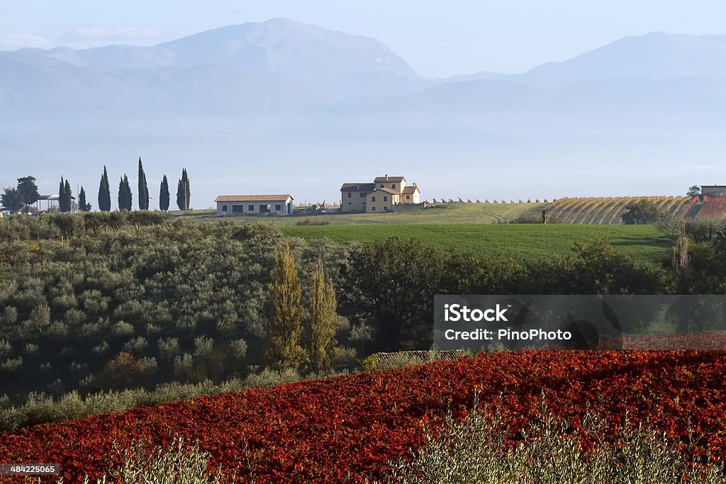 Val D'Orcia Toscana Hills - Foto de stock de Agricultura royalty-free