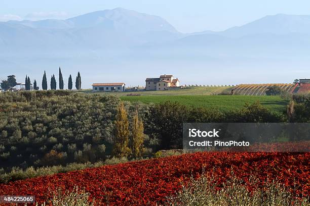 Val Dorcia Toscana Hills - Fotografias de stock e mais imagens de Agricultura - Agricultura, Ajardinado, Amanhecer