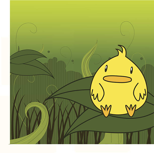 ilustrações de stock, clip art, desenhos animados e ícones de pássaro em floresta - fern forest ivy leaf
