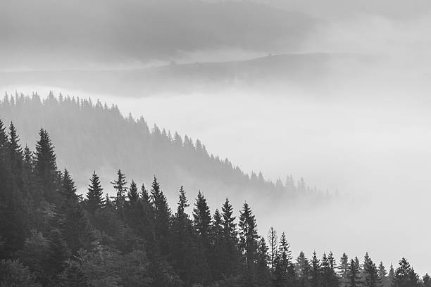istock Amazing mountain landscape with fog 484225698