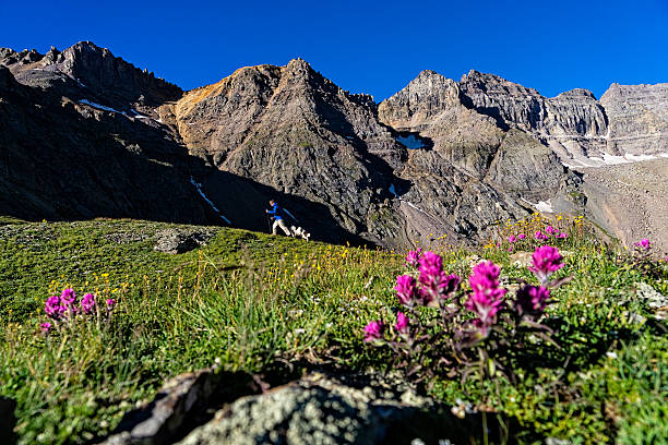 istock Man Hiking with Dog in Scenic Mountains 484226164
