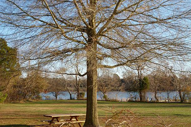 istock Winter Backyard Picnic Table Tree Centered Blue Creek Water Sky 484226456