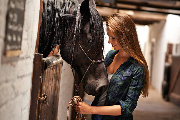 istock There must be trust between horse and rider 484227943