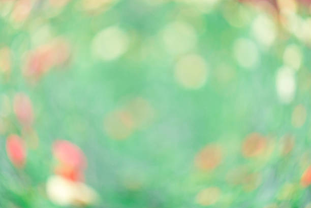 istock Abstract circular bokeh background of garden 484228515