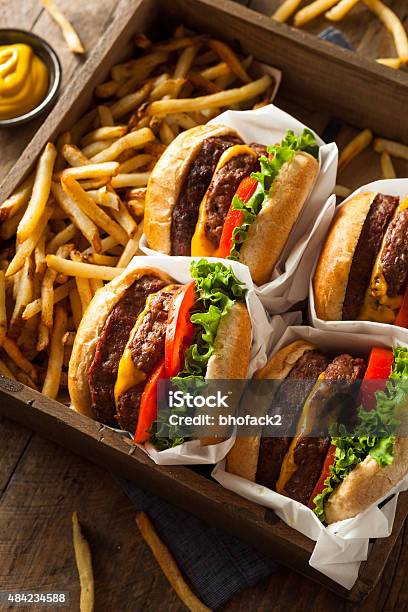 Double Cheeseburgers And French Fries Stock Photo - Download Image Now - 2015, American Culture, Barbecue - Meal