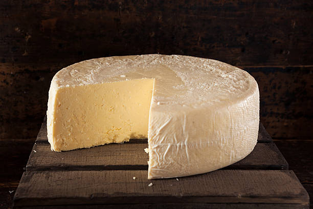 grande roda de queijo branco orgânicos - cheese wheel cheese cheddar wheel imagens e fotografias de stock