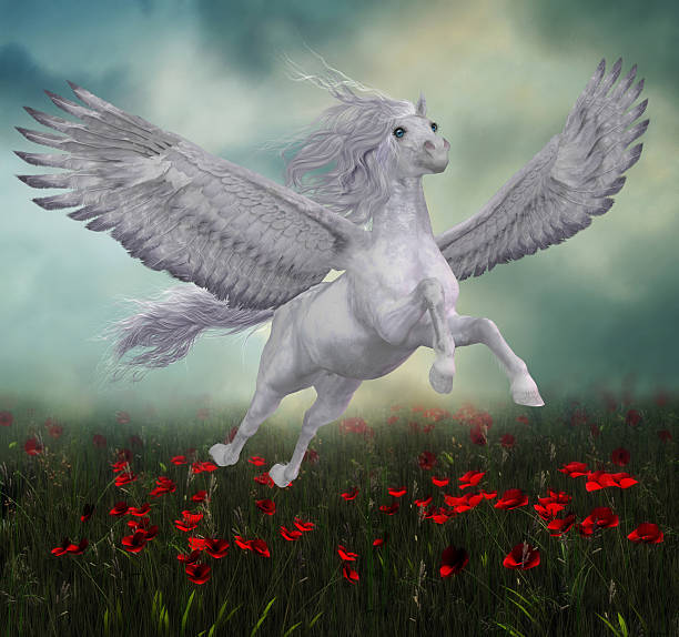 istock Pegasus and Red Poppies 484235088