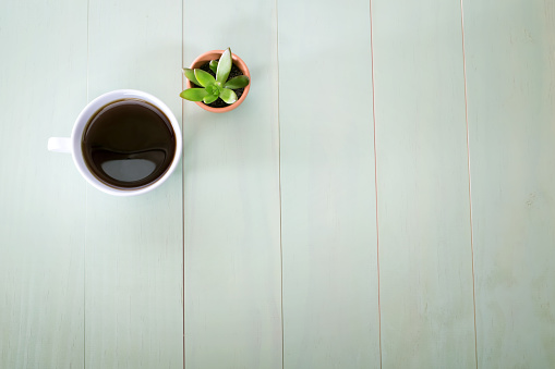 Cup of coffee and small plant in a pot on pastel green background