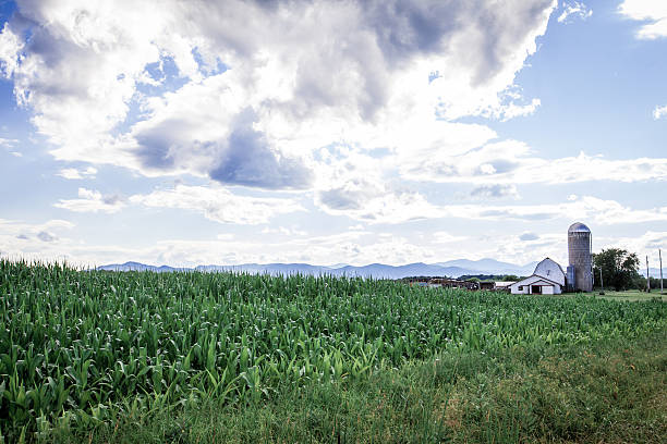 vermont paesaggio con fattoria e montagne - vermont farm dairy farm agricultural building foto e immagini stock