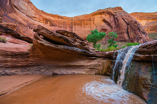 USA, Utah, Escalante Wilderness. Waterfall in Coyote Gulch Stock Photo - Waterfall in Coyote Gulch part of Grand Staircase Escalante National Monument in southern Utah canyon country glen canyon stock pictures, royalty-free photos & images