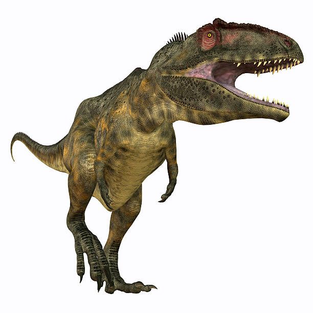 istock Giganotosaurus Carnivore 484258540