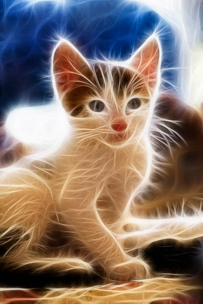 istock White undomesticated pussy 484259298