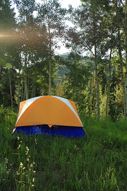 istock Yellow tent in green grass surrounded by trees 484261292