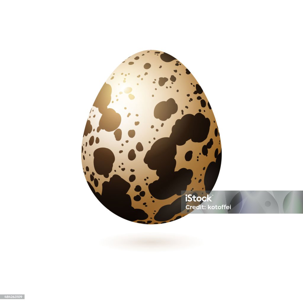 Wachtel Ei, isoliert auf weißem Hintergrund. - Lizenzfrei Ei Vektorgrafik