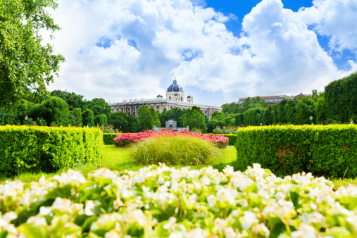 Volksgarten park with many flower grounds and Austrian national library on background in Vienna