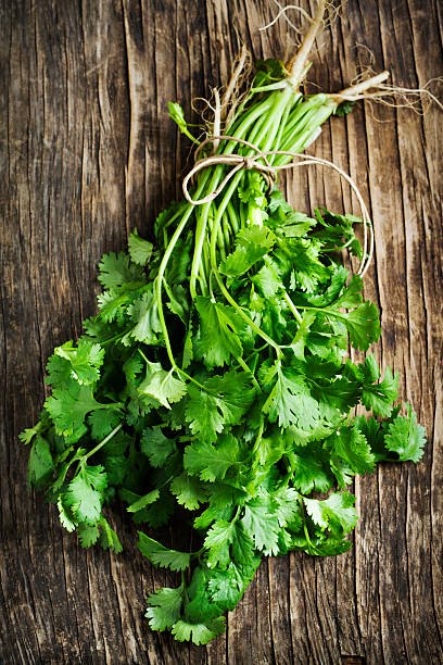 istock Bunch of cilantro on wooden baclground 484264304