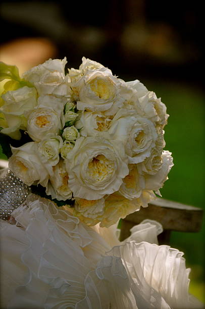 istock lace and flowers 484265135