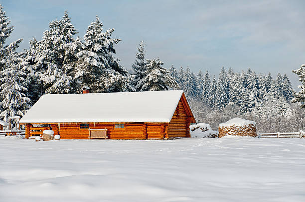 istock Wooden cabin 484265343