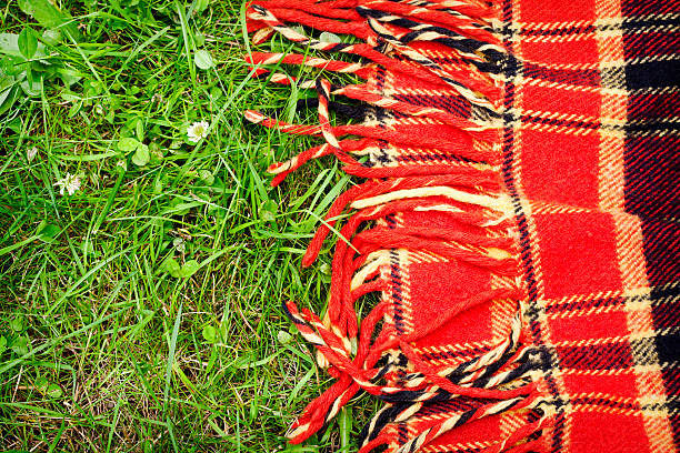 istock Checkered plaid for picnic on green grass. 484265876