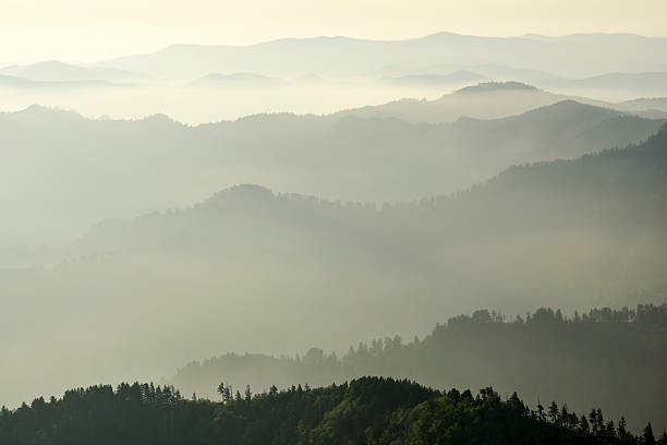 istock Layers of misty mountains at sunrise viewed from Mt. LeConte 484266669