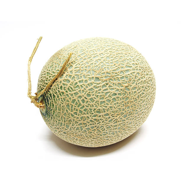 istock Cantaloupe melon isolated on white background 484267470