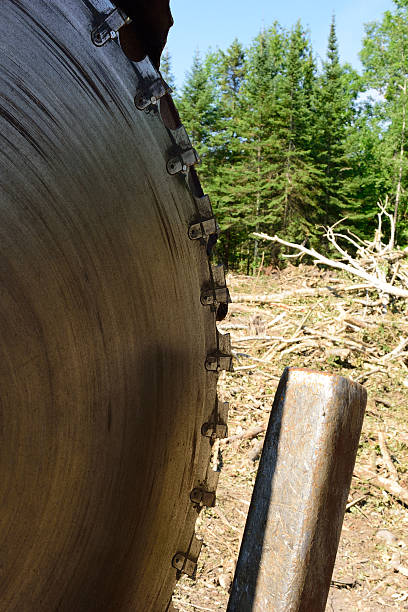 istock Slasher Circular Saw on Log Landing 484267606