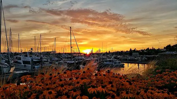 Late summer sunset over the Marina in Bellingham Washington. Shot with a Samsung Galaxy Note and edited with Snapseed.