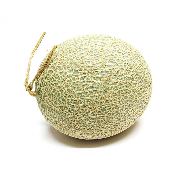 istock Cantaloupe melon isolated on white background 484272646