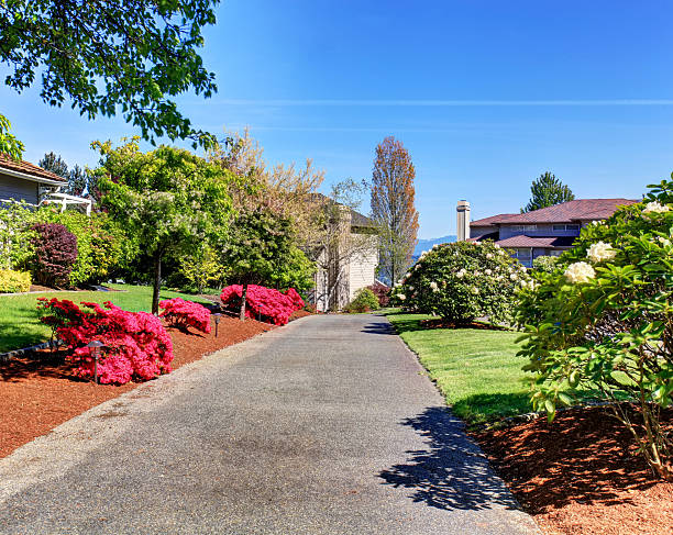 istock Driveway to home lined with flower bushes. 484277622