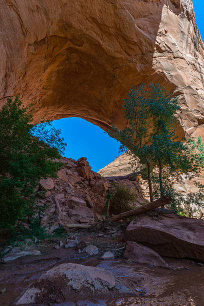istock Beautiful Jacob Hamblin Arch in Coyote Gulch 484277810