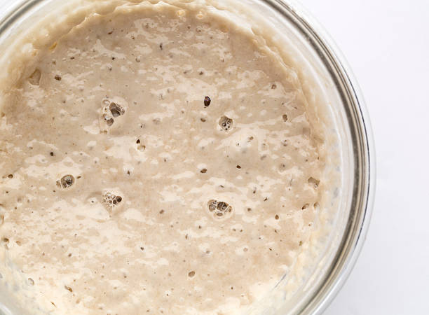 Bread starter pre-ferment biga, poolish sourdough Bread starter pre-ferment biga, poolish sourdough yeast stock pictures, royalty-free photos & images