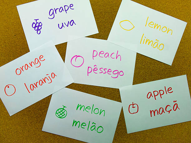 istock Language Flash Cards; Portuguese 484279684