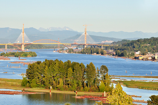 Fraser River with Trees on an Island and a Bridge under Construction