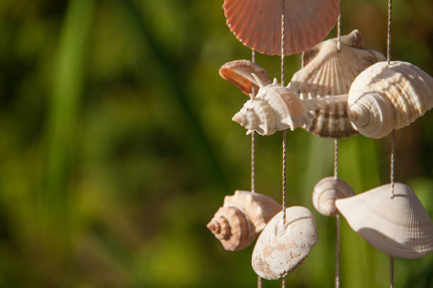 istock Decoration made of sea shells on the thread 484285170