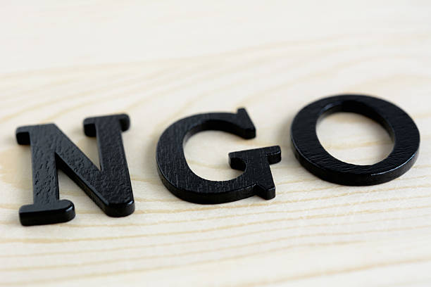 istock NGO letters on wood background 484285546