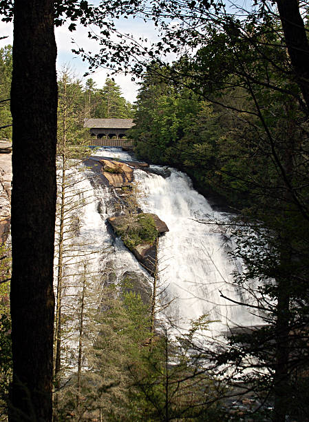 high falls de la dupont state forest, en caroline du nord - dupont state forest photos et images de collection