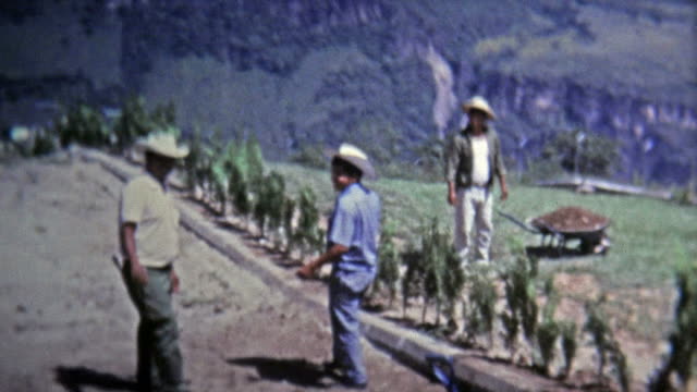 1973: Farm hand workers tending to high elevation terraced fields.