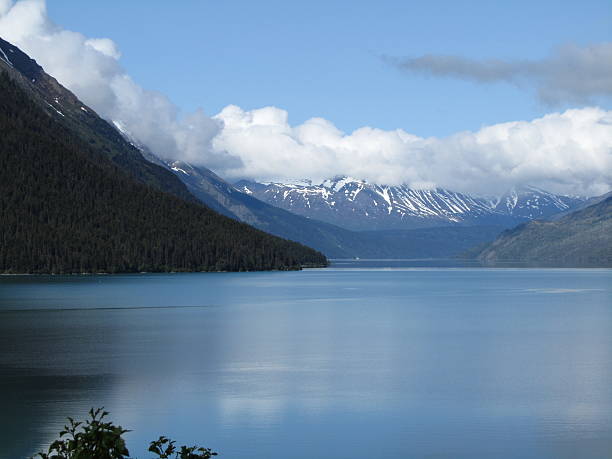 istock Kenai Fjords National Park 484292431