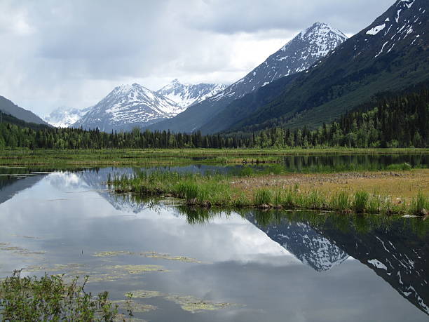 istock Kenai Fjords National Park 484292847
