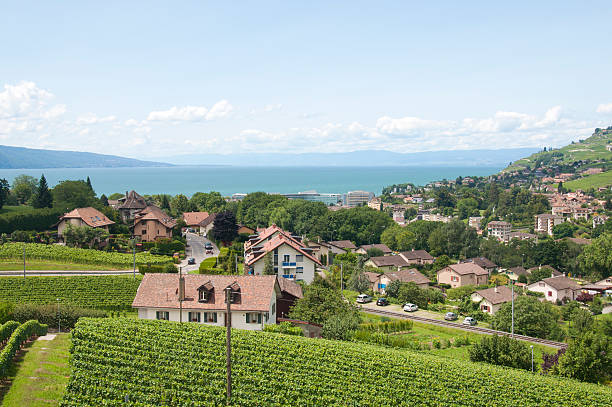 istock Houses amidst Vineyards 484295771
