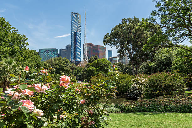 istock City of Melbourne, Australia 484296185