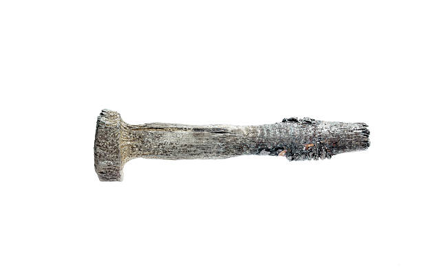 istock bolt corrosion by water leak 484297418