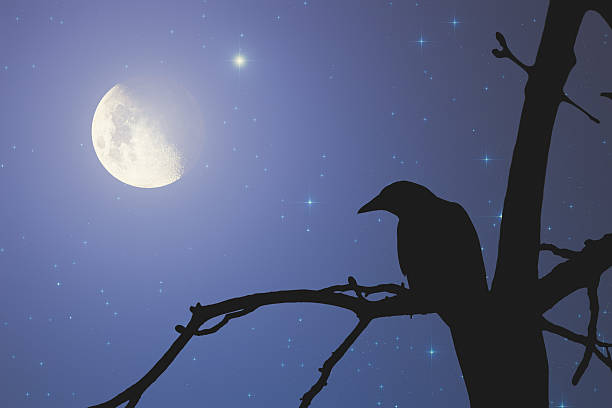 istock Stars and Moon Beside Raven on a Tree 484299432