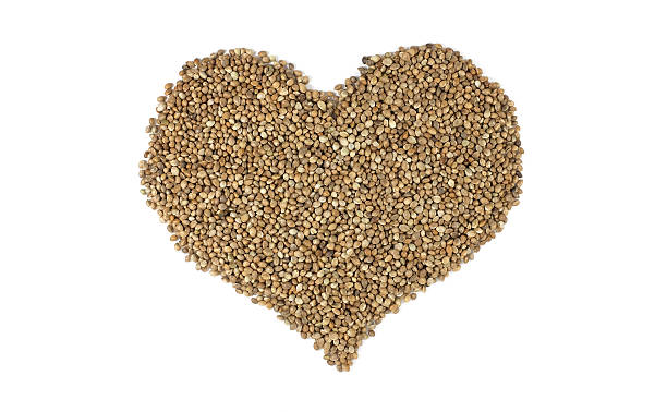 istock Hemp seeds in a heart shape 484302476