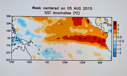 Bright colors on a computer screen showing the warm sea surface temperatures along the equatorial Pacific ocean signalling a developing strong El Nino. The warm sea surface temperature anomaly can result in stronger upper level winds in the southern United States and adjoining waters resulting in less hurricane activity but increased storminess in the winter.