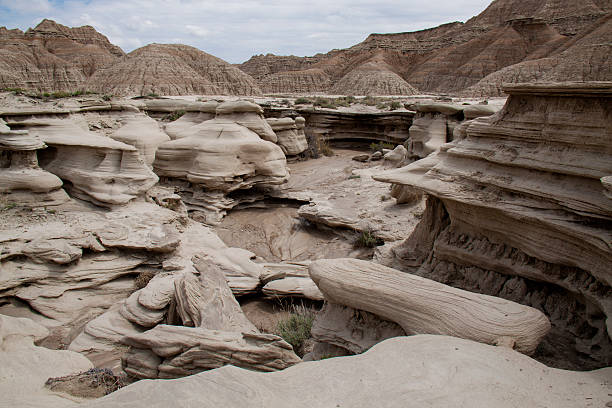 fungo ombrelliforme geologica park, nebraska - fungo ombrelliforme foto e immagini stock